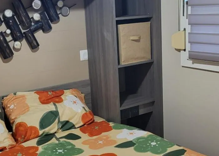 公寓 Les Hauts De L' Escapade T2 Renove Parking Climatisation Et Piscine 巴拉吕克莱班